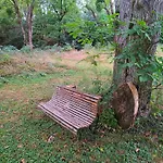 豪华帐篷 Glamping Moulin De Saza 勒维雅昂